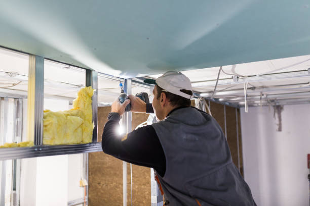 Best Spray Foam Insulation in Meadowbrook, VA