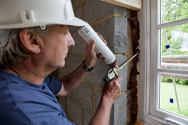 Best Geographic-Specific Insulation Services in Meadowbrook, VA