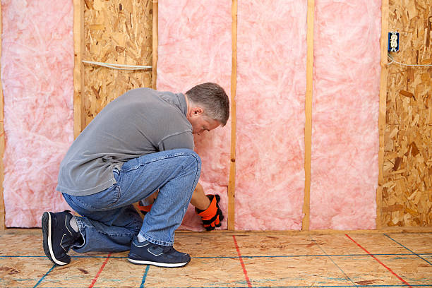 Best DIY Insulation Kits and Guidance in Meadowbrook, VA