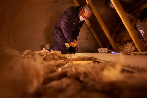 Best Commercial Insulation in Meadowbrook, VA